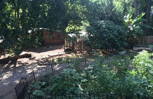 Cozy Alpaca Tree House Rental in the Bamboo Forest in Atlanta, Georgia - Foto 24