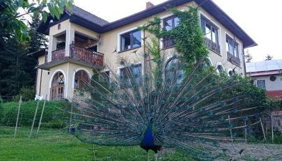 ZALASEK Gospodarstwo Agroturystyczne z Alpakami - Foto 2, Garden