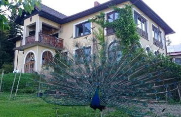 ZALASEK Gospodarstwo Agroturystyczne z Alpakami - Foto 2