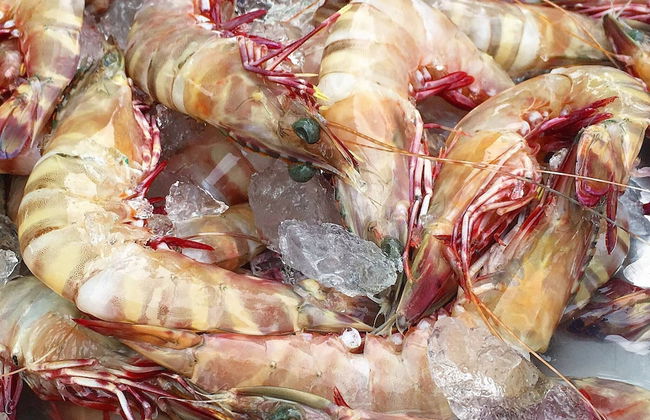 Beachfront 3br Luxe Plunge Pool On Naithon Beach - Foto 65