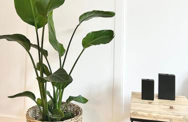 MAKERS and ROOMS APARTMENT 01 Pauline 110qm Parkplatz 1-4 Personen - Foto 31