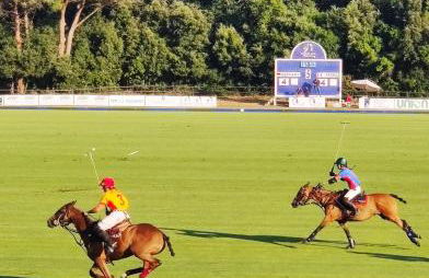 Holiday Homes Marina apartments - Foto 40