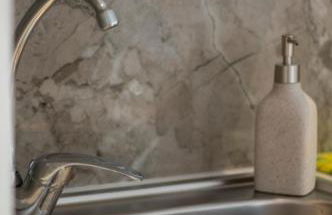 The Flower Garden - Foto 63