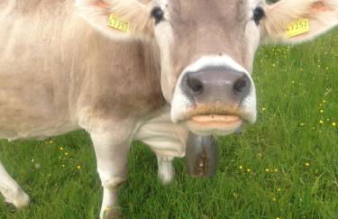 Ferienwohnung Heimatliebe - Photo 30