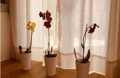 Residenze Lizzeri-Casa Moniga - Foto 62