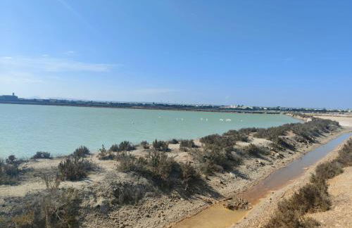 House with solarium - Foto 48