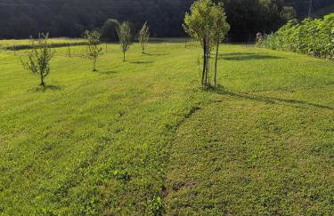 Zeleni raj - Foto 32