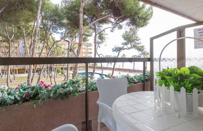 Els Pins Cyclamen - Foto 17