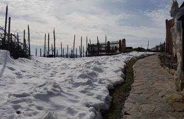 Domus Antiqua - Foto 28