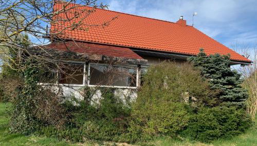 Dom z Ogrodem blisko Trójmiasta i Kaszub - Foto 3, Garden, Garden view