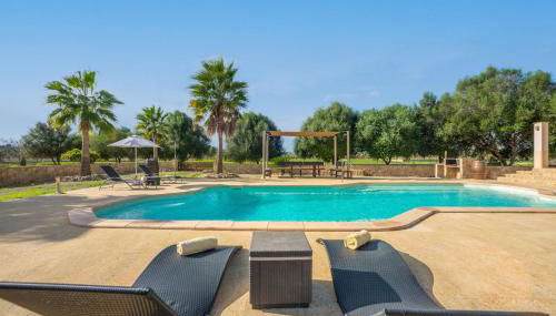 Luz de Luna - Foto 2, Other