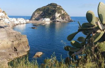 Villa Symphony Sea view - Foto 45