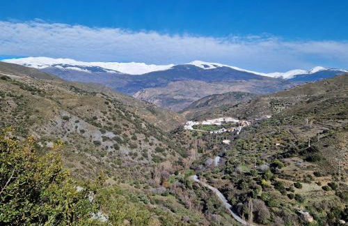 The Retreat, Alcazar - Foto 41