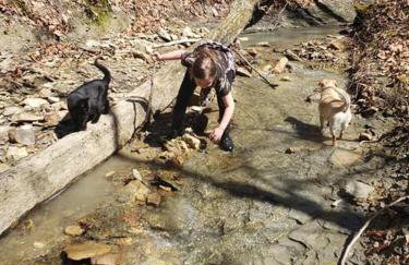 Red River Gorge Creekside, New*Spacious *2 baths! - Foto 10