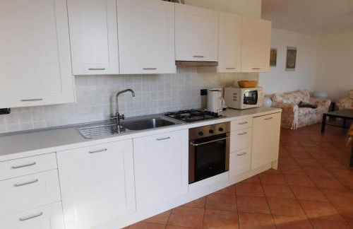 Rosmarino 1 - Foto 20