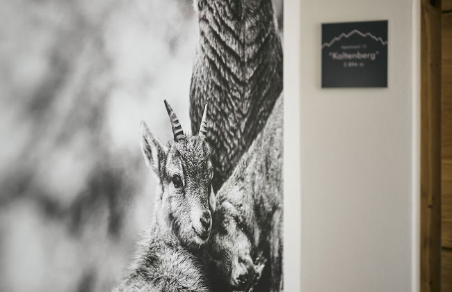 1400 Flexenlodge - Foto 2