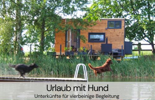 HexenburgbeiDresden 2 Zimmer Architektenwohnung mit eigener Sauna, Whirlwanne und Kamin - Nähe Sächsische Schweiz Dresden - Foto 43