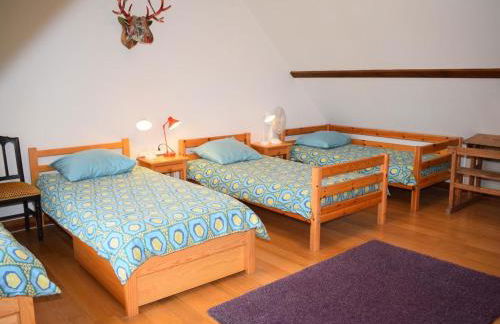 Lodge 9 chambres avec piscine chauffée, étang & activités au cœur de la Sologne - FR-1-491-384 - Foto 33