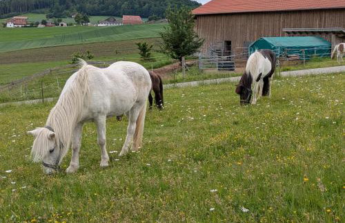 Ponyhof Adam Urlaub auf dem Bauernhof - Foto 79