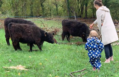 Ferienhaus Fischerhaus - Ruhe und Natur an der Dordogne - Foto 57
