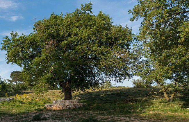 DONNAPAOLA MODERN FARM - Photo 78