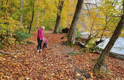 Große FeWo-Suite "Nordstern" in direkter Seelage, mit Kanu - Foto 20