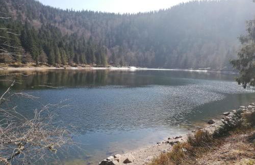 Gite de la voie verte gitesdes2vallees - Foto 30