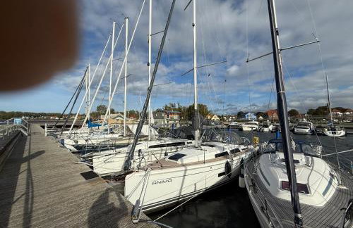 Ferienwohnung Sonnenschein - Photo 10