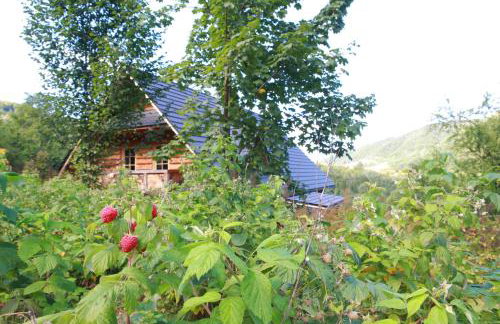 Krolowo Apartment - Photo 26