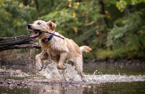 Fowo- Mangfalltal Italy Stopover near Motorway - Foto 16