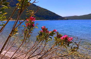 Steinturm mit Dach-Terrasse zwischen Fluß, Meer und Gebirge- Spiti Pirgos - Foto 53