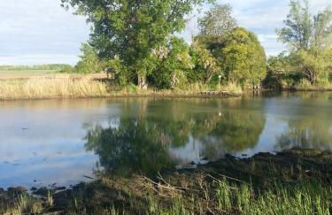 Tenuta Crescentini-ValleMura ,appartamenti con entrata indipendente - Foto 45