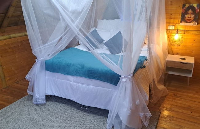 Ecohotel el Obelisco - Foto 2