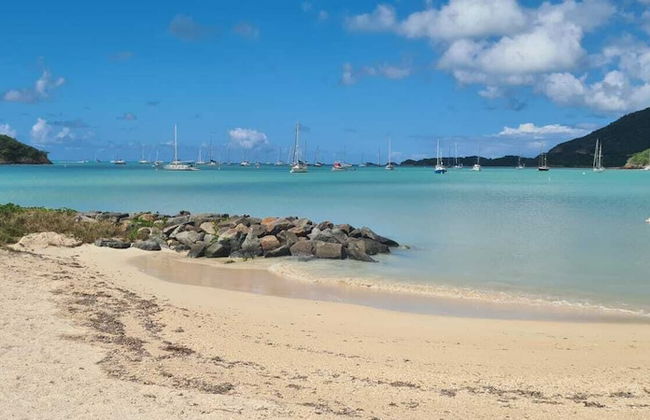 Wild Lotus Villa - Waterfront on Jolly Harbour - Photo 29