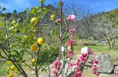 Quinta do Tempo Turismo Rural - Foto 45