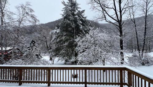 Cozy Dennis Retreat - Foto 2