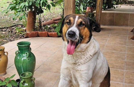 Home & Gardens 2-bed Villa in Sevasti, Katerini - Foto 10