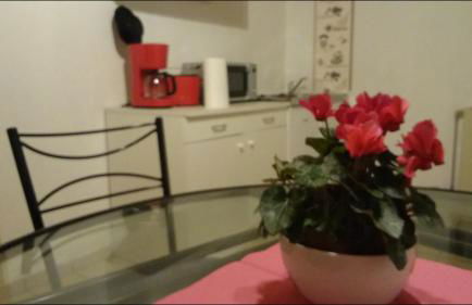 Ferienwohnung An der Loreley - Photo 27