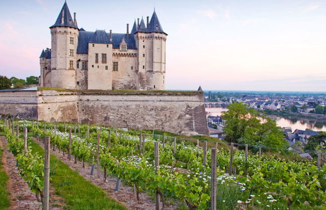 Le Clos Saint Michel - Foto 17