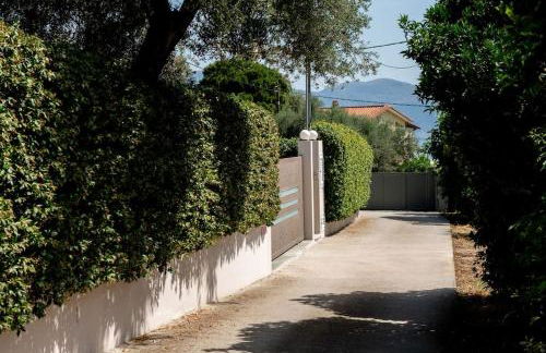 Serenity Guesthouse - Photo 13