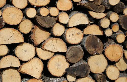 Casa Kedrova, Mountain Voras-Kaimaktsalan Edessa - Foto 41