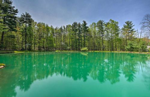 The Red Pine Cabin with Private Pond and Dock! - Foto 34