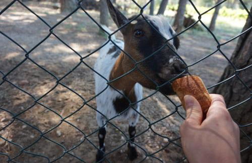 Villa La Marpierre - Foto 31