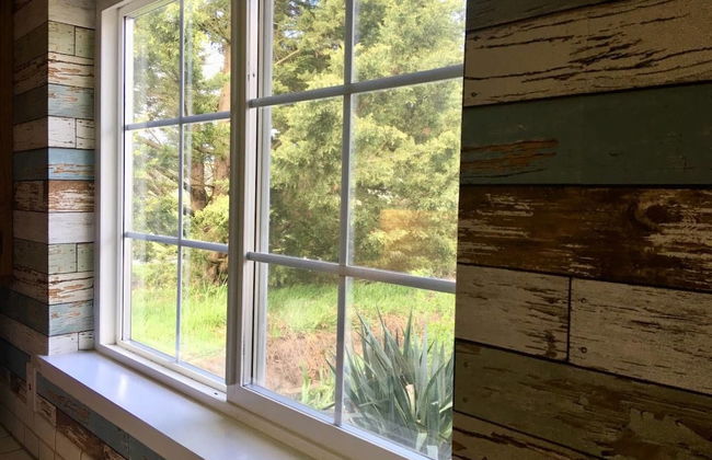 Racing Horse Ranch and Guest House with Golf - Foto 36