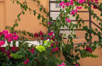 Katerina Rooms & Studios - Foto 41