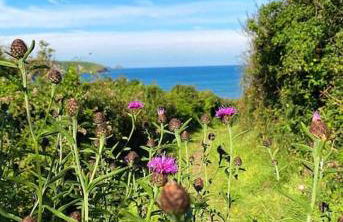 Charming coastal cottage - pet friendly! - Photo 58