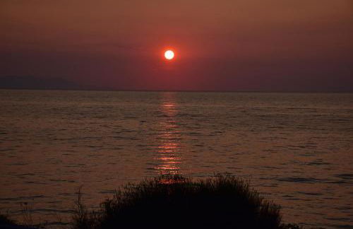 Salt and petals - Foto 48