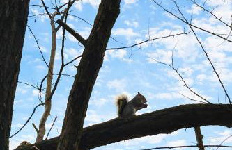 Bed & Garage Apartment in Villa - Photo 16