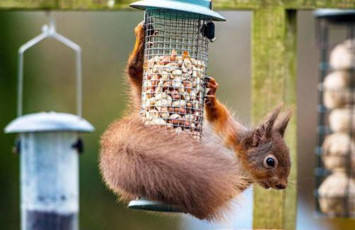 Beautiful 2BR In Kippford With Incredible Views - Pass the Keys - Photo 6