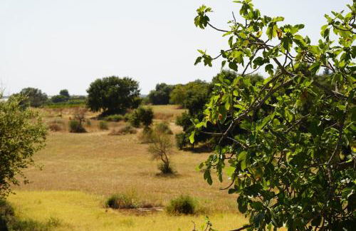 Accogliente villa con piscina - Foto 39